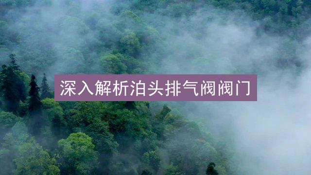 深入解析泊头排气阀阀门