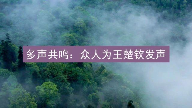 多声共鸣：众人为王楚钦发声