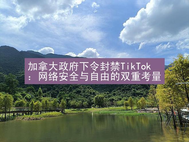 加拿大政府下令封禁TikTok：网络安全与自由的双重考量