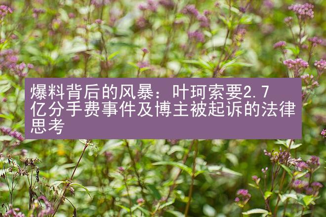 爆料背后的风暴：叶珂索要2.7亿分手费事件及博主被起诉的法律思考