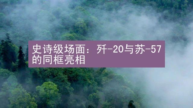 史诗级场面：歼-20与苏-57的同框亮相