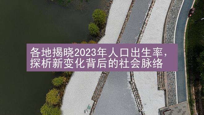 各地揭晓2023年人口出生率，探析新变化背后的社会脉络