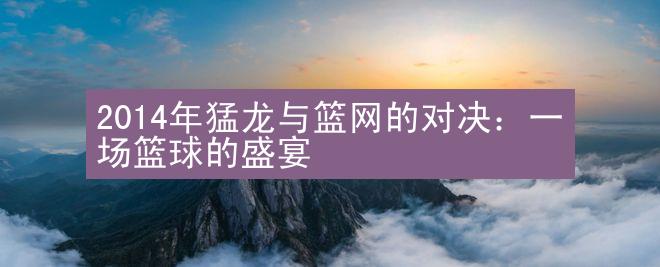 2014年猛龙与篮网的对决：一场篮球的盛宴