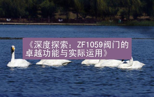 《深度探索：ZF1059阀门的卓越功能与实际运用》