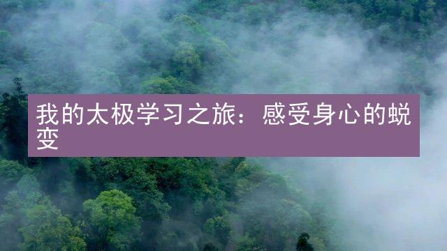 我的太极学习之旅：感受身心的蜕变