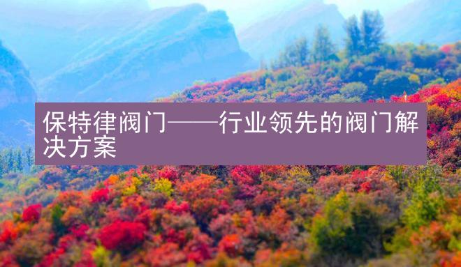 保特律阀门——行业领先的阀门解决方案