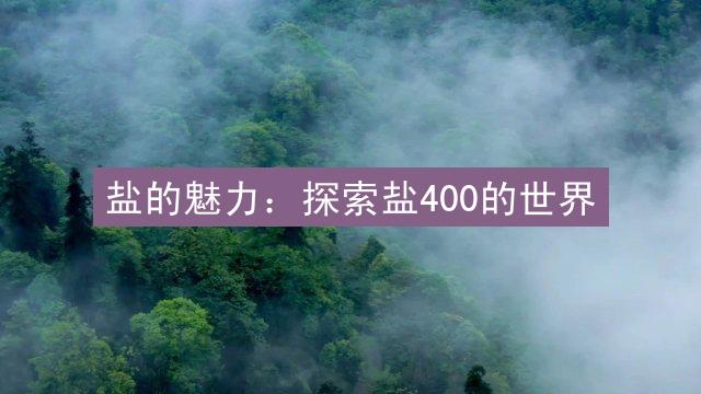 盐的魅力：探索盐400的世界