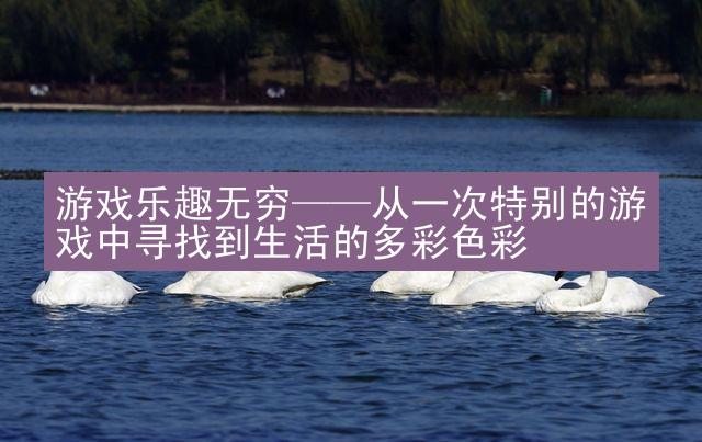 游戏乐趣无穷——从一次特别的游戏中寻找到生活的多彩色彩