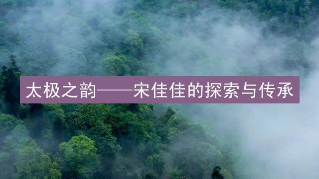 太极之韵——宋佳佳的探索与传承