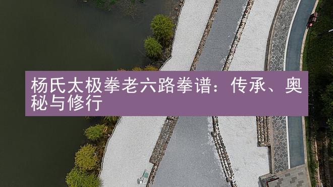 杨氏太极拳老六路拳谱：传承、奥秘与修行