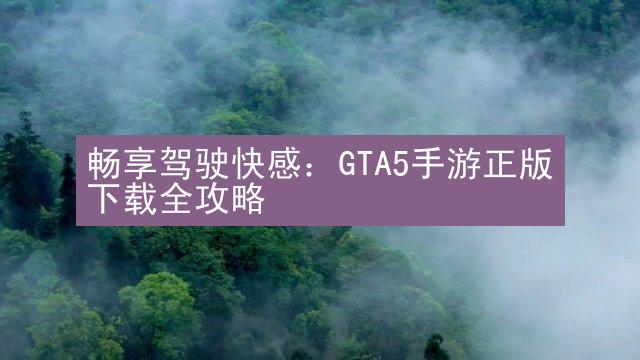 畅享驾驶快感：GTA5手游正版下载全攻略